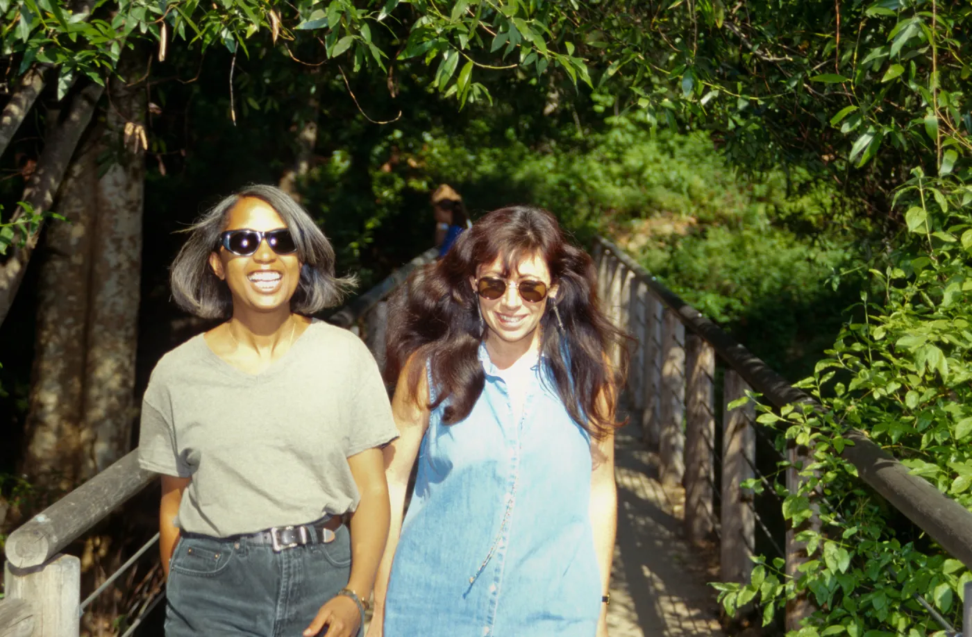 Wildflower Festival 1995