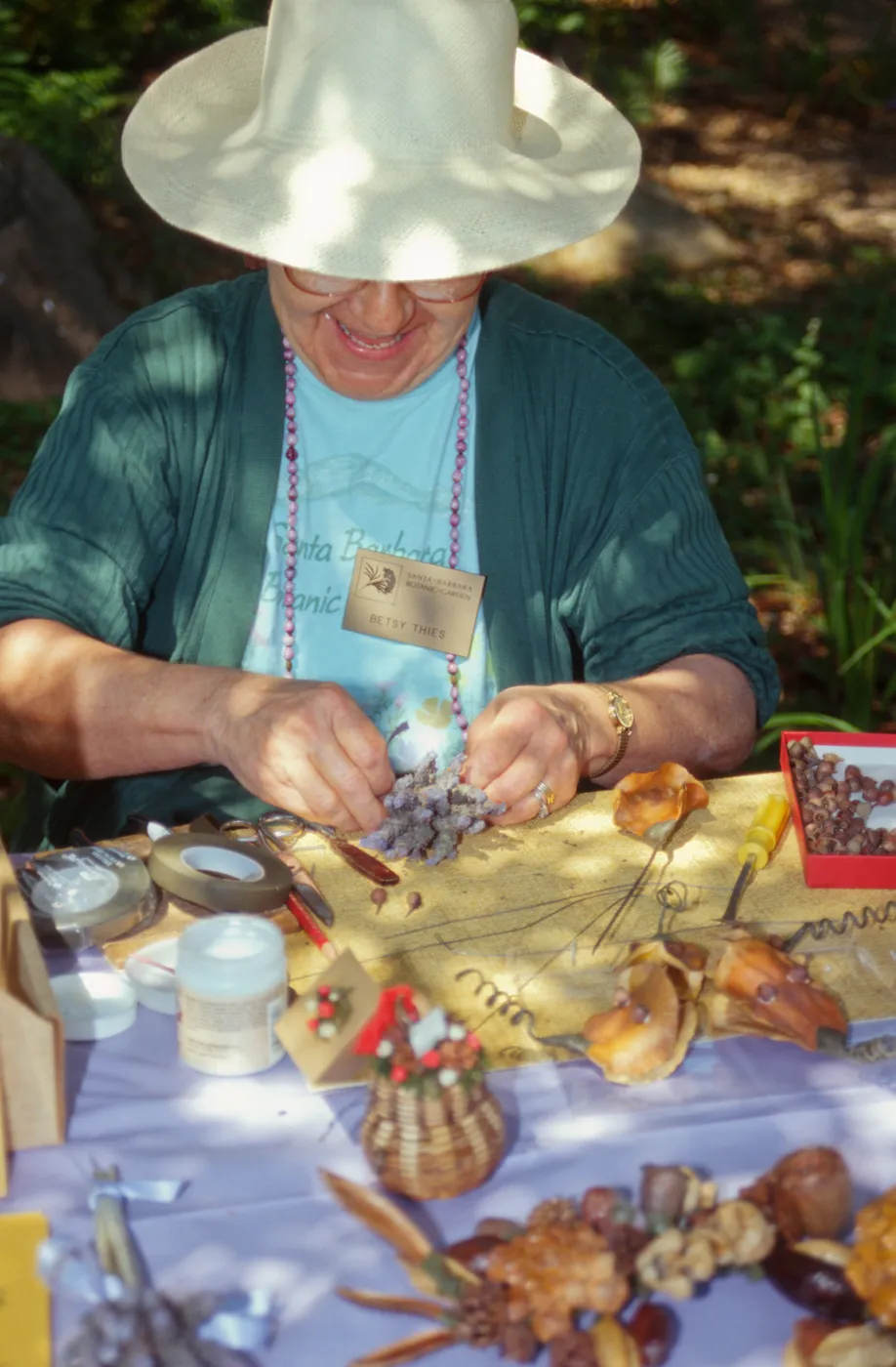 Wildflower Festival 1995