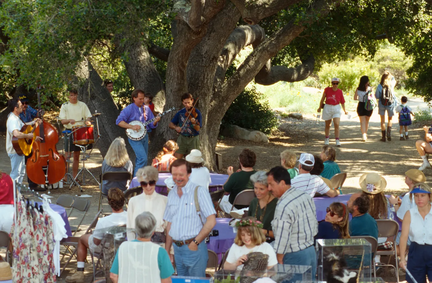 Wildflower Festival 1995