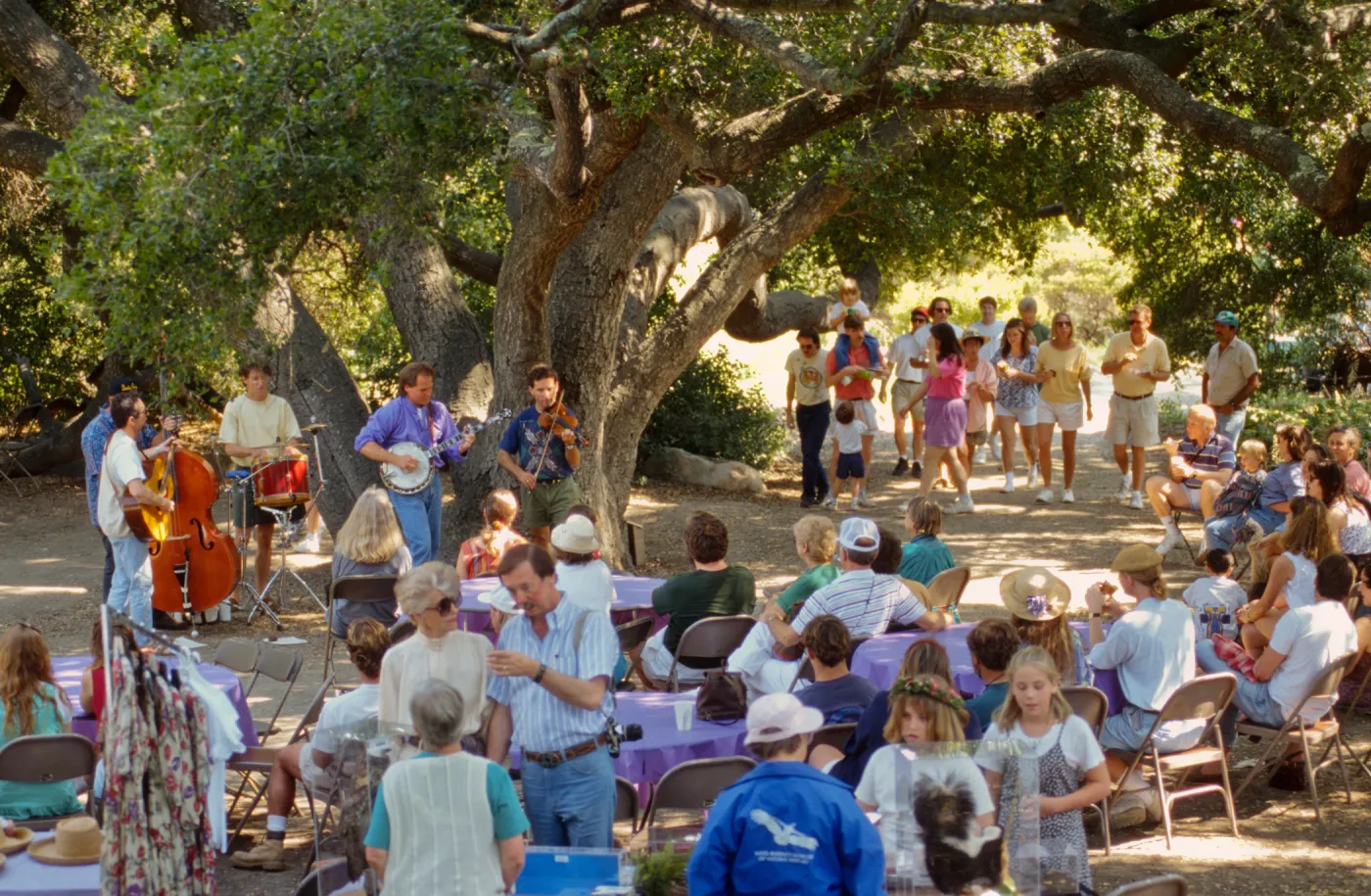 Wildflower Festival 1995