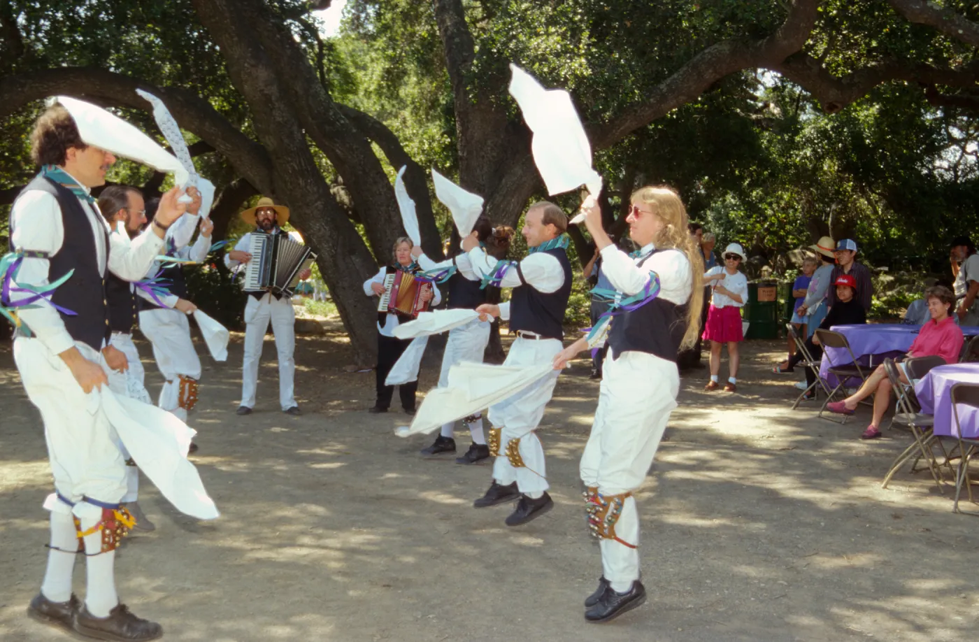 Wildflower Festival 1995
