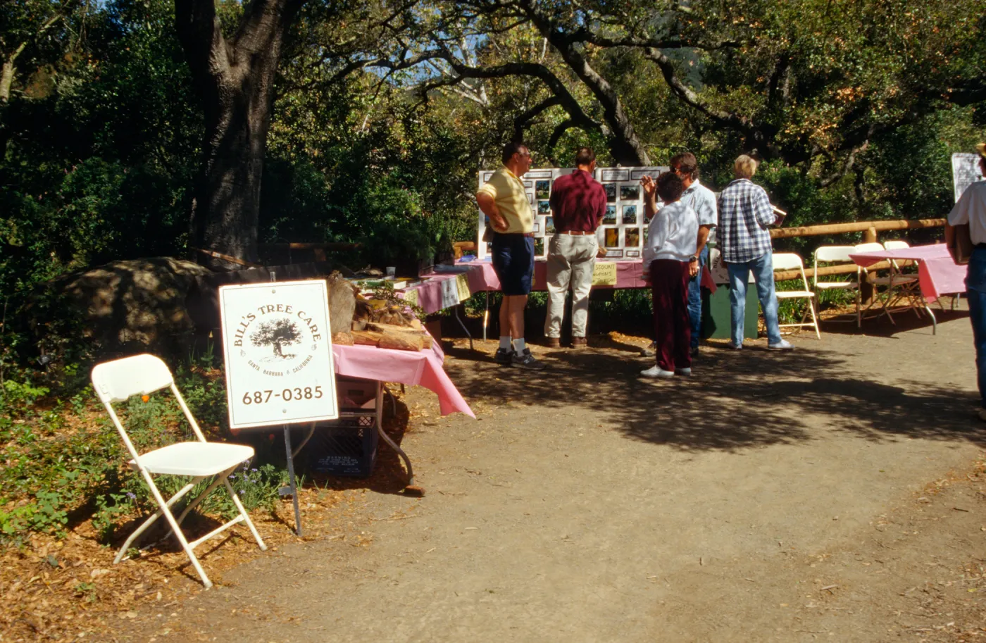 Wildflower Festival 1996