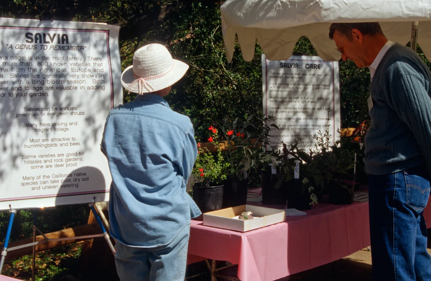 Wildflower Festival 1996