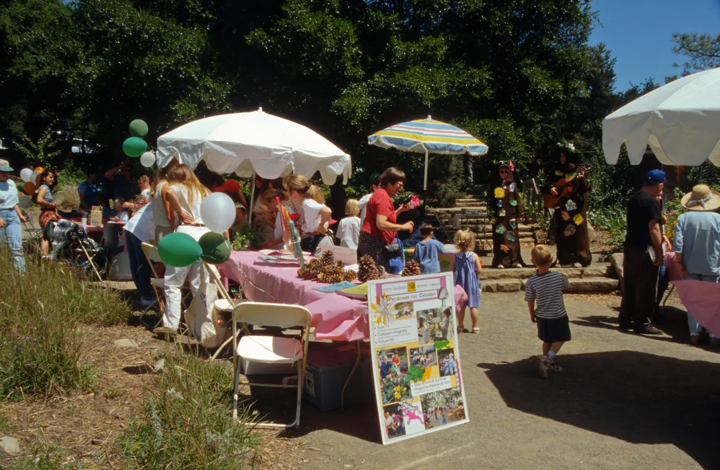 Wildflower Festival 1996