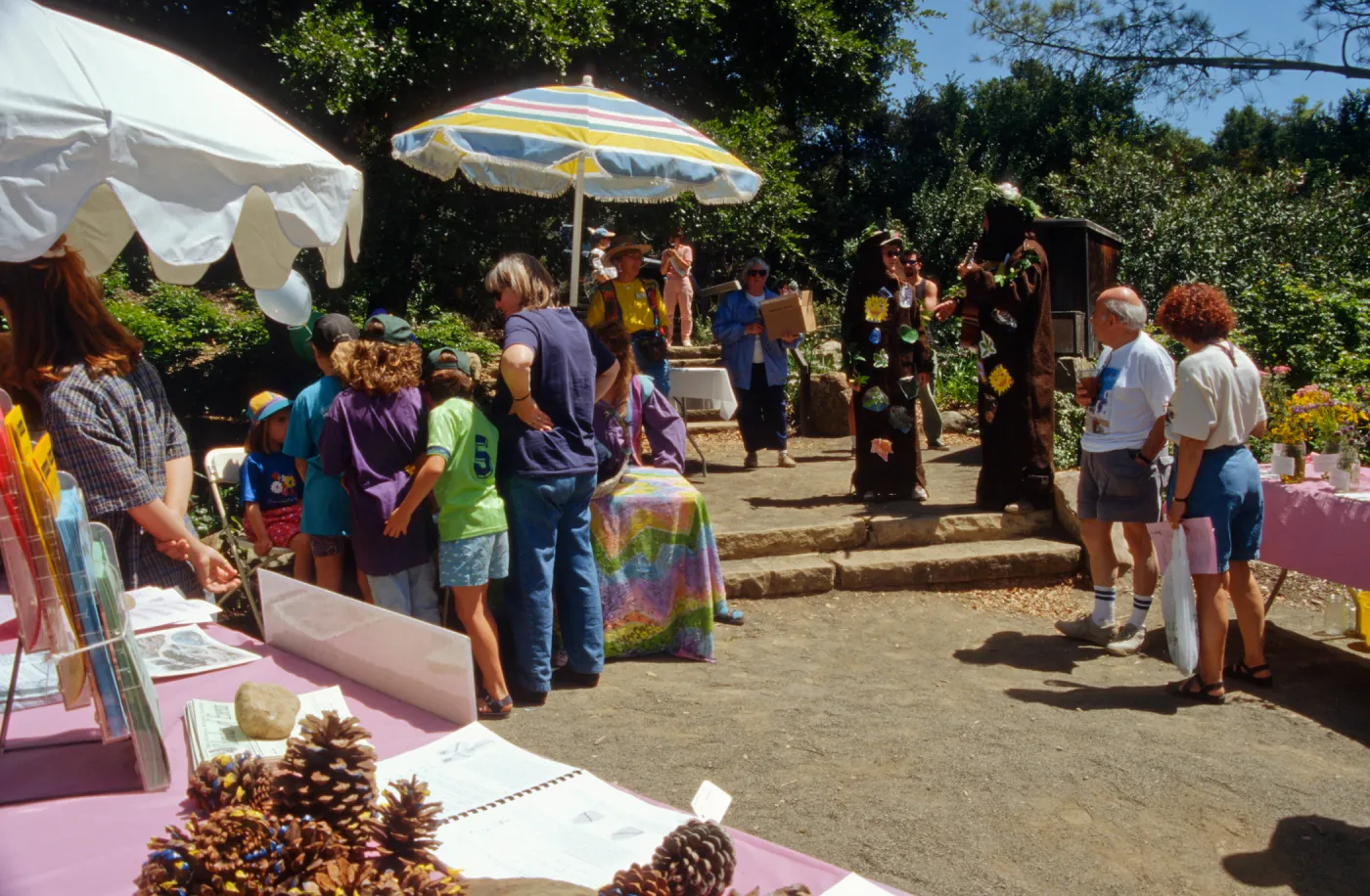 Wildflower Festival 1996