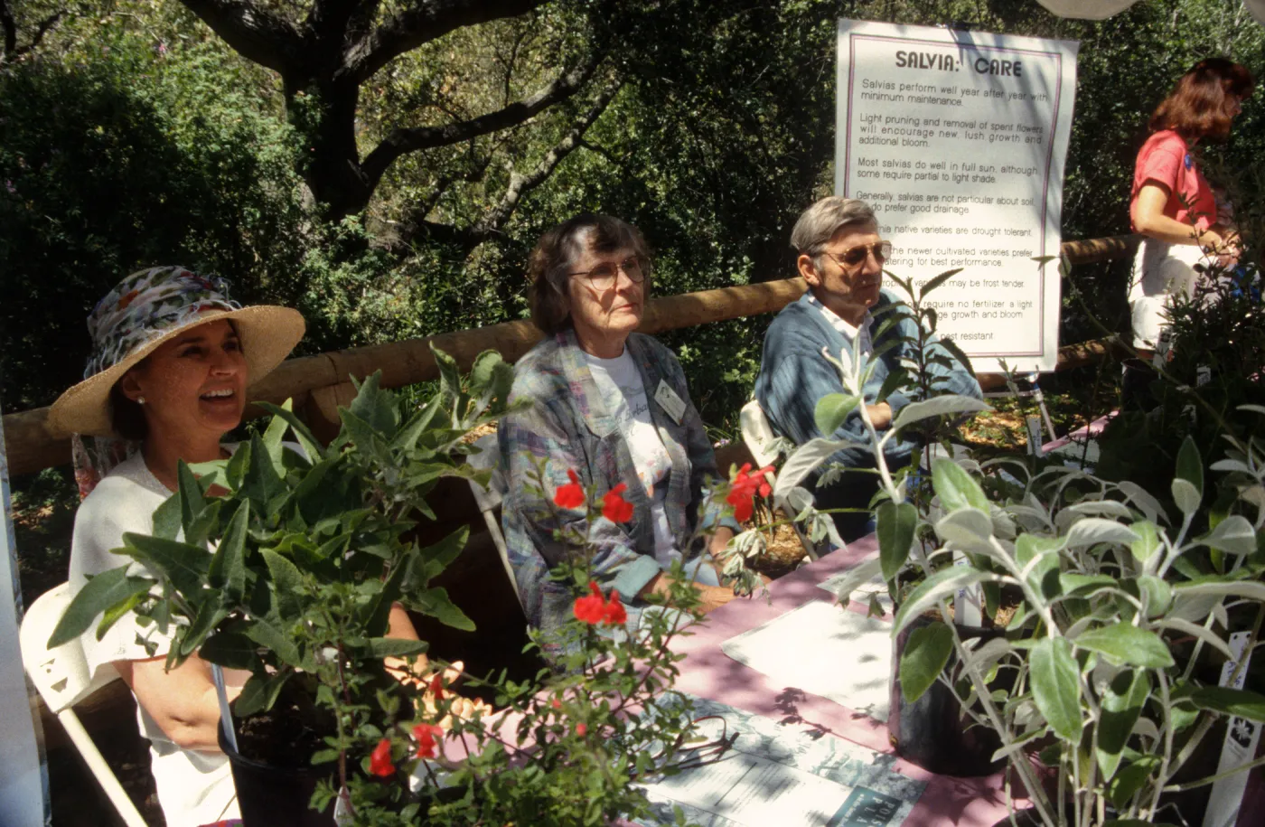 Wildflower Festival 1996