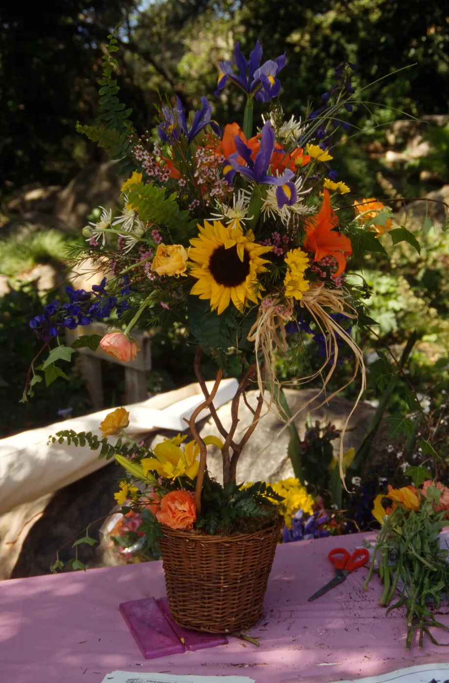 Wildflower Festival 1996