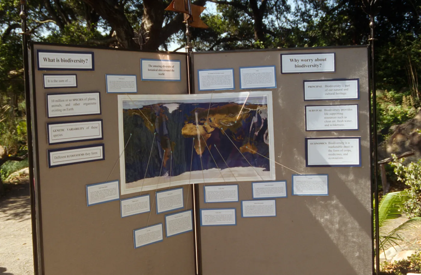 Wildflower Festival 1996, Biodiversity bulletin board