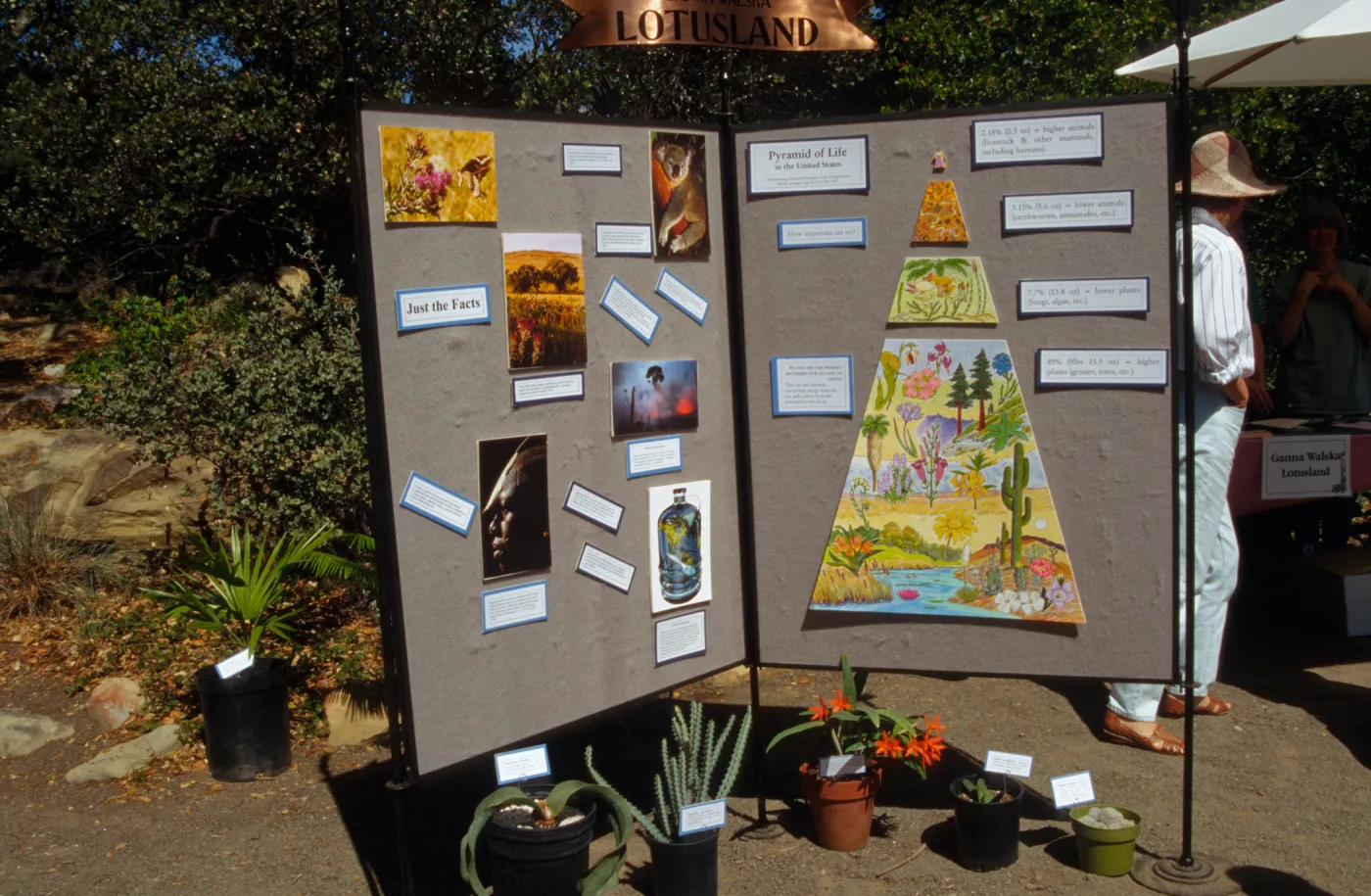 Wildflower Festival 1996, Pyramid of Life display