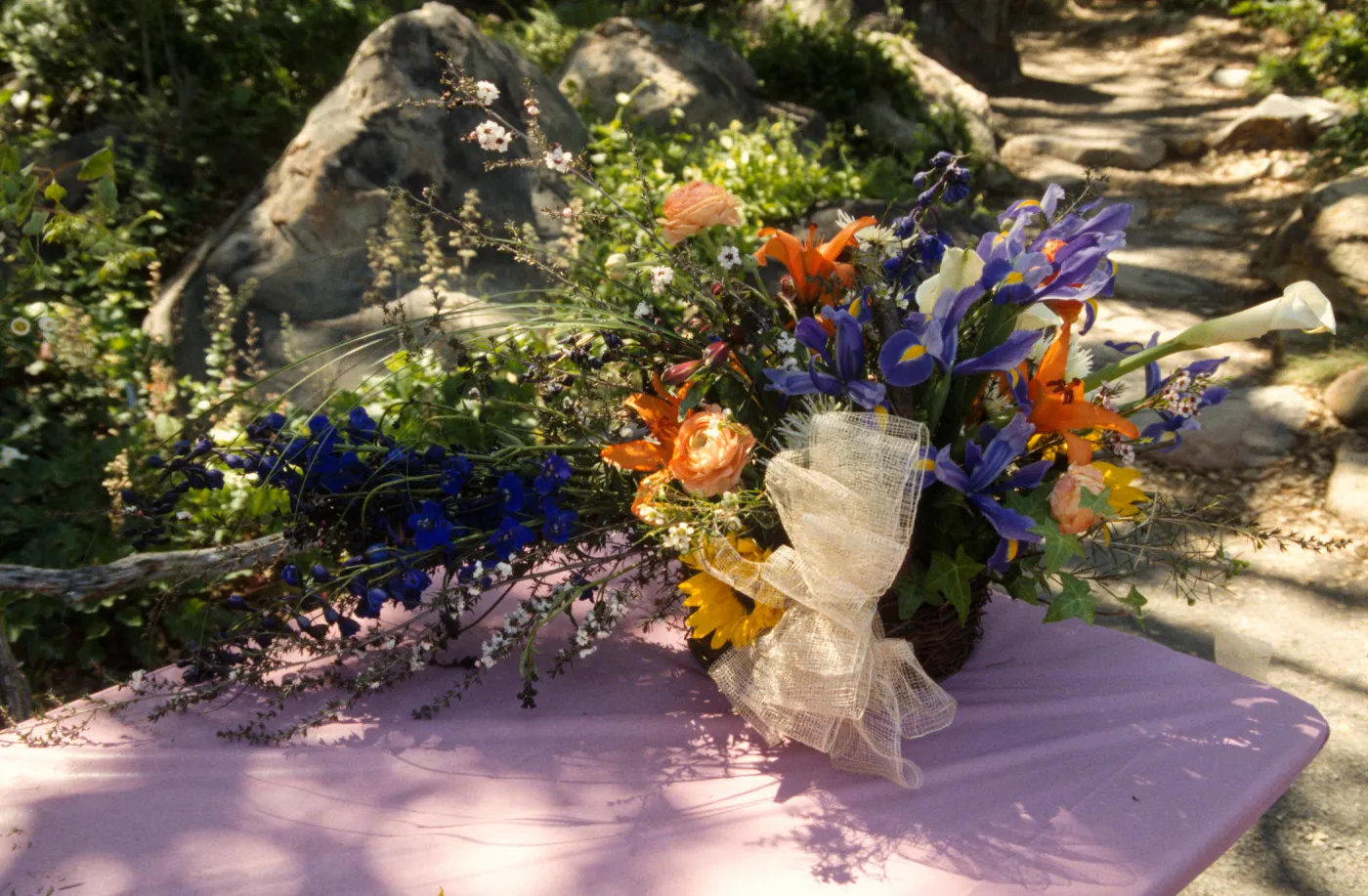 Wildflower Festival 1996