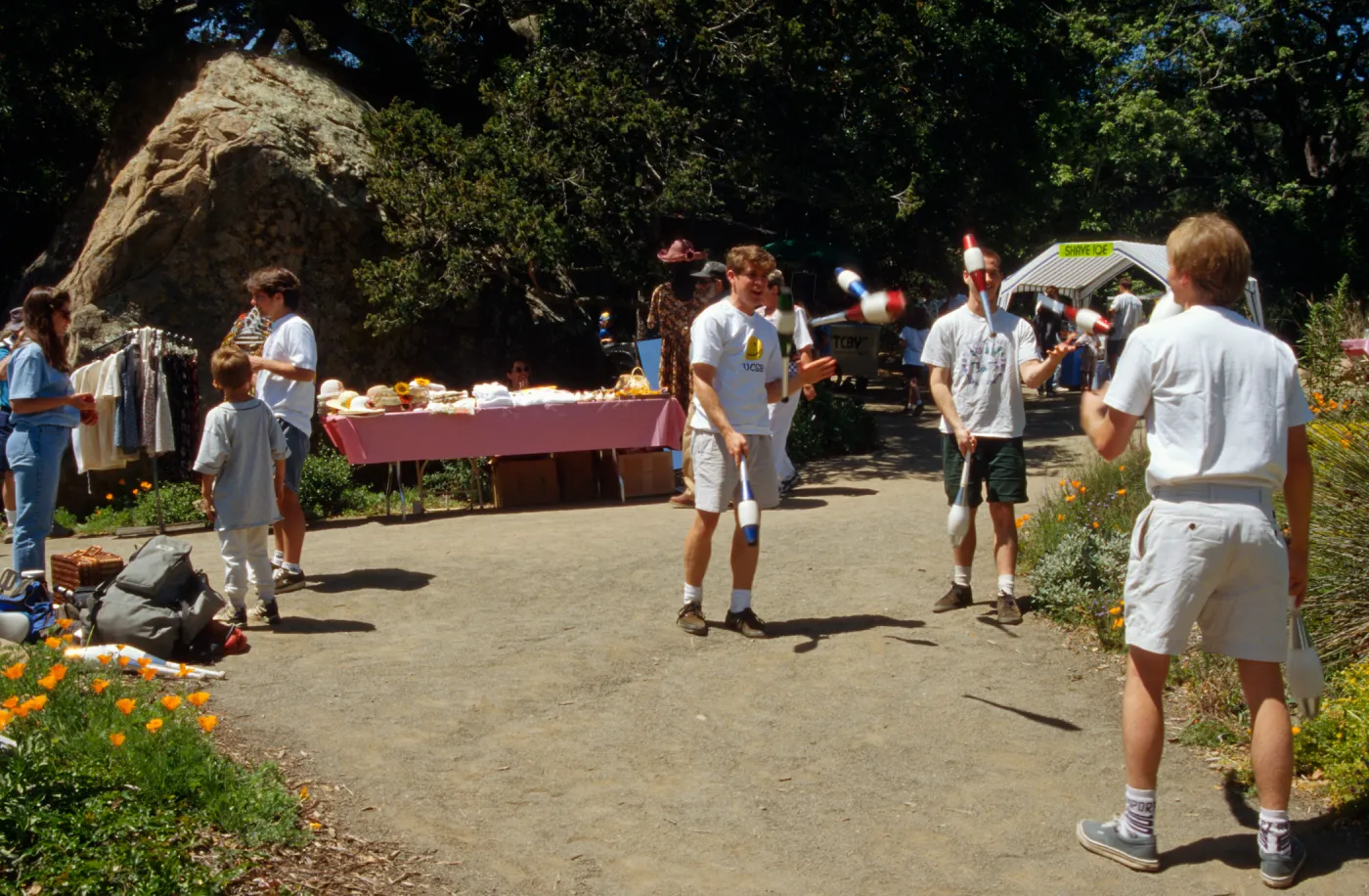 Wildflower Festival 1996