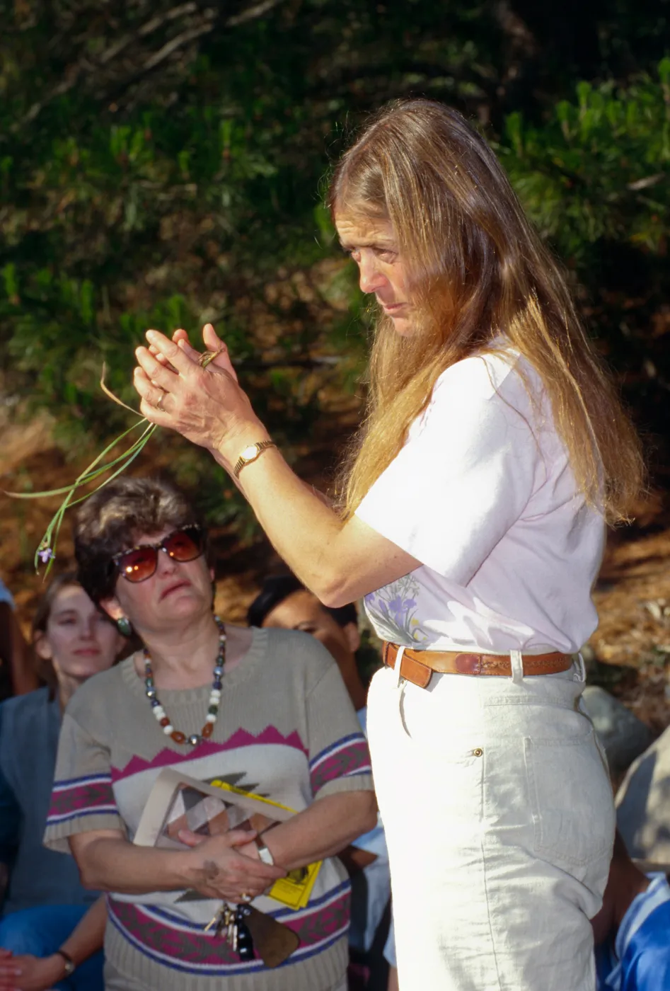 Wildflower Festival 1996