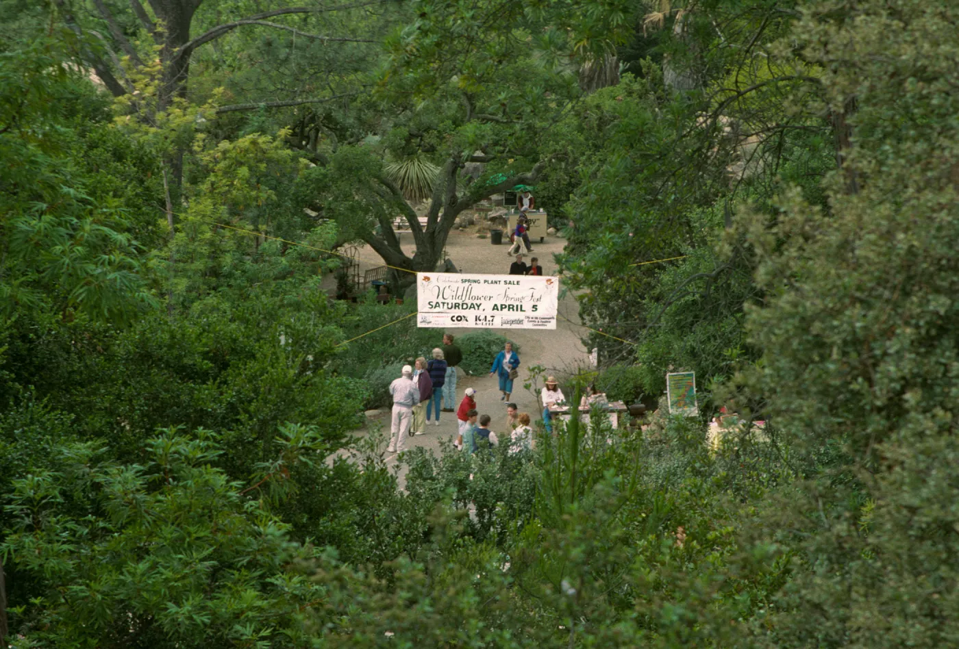 Wildflower Festival 1997
