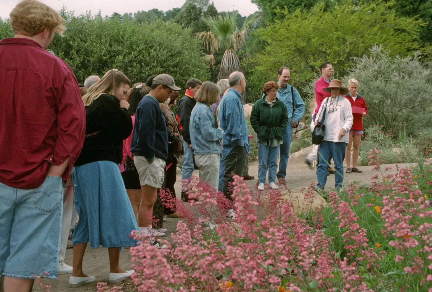 Wildflower Festival 1997