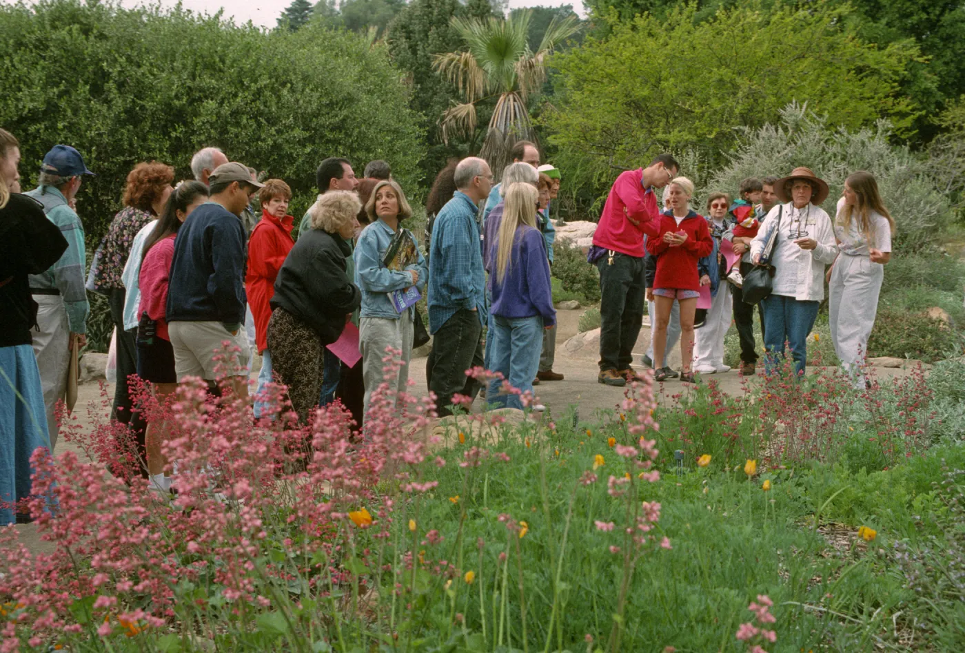 Wildflower Festival 1997