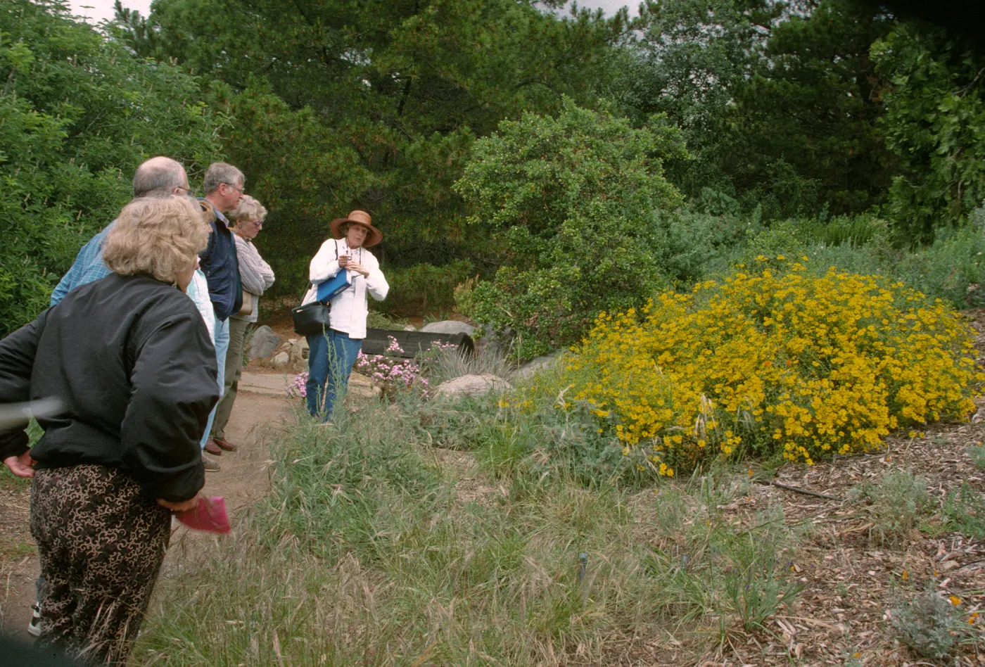 Wildflower Festival 1997