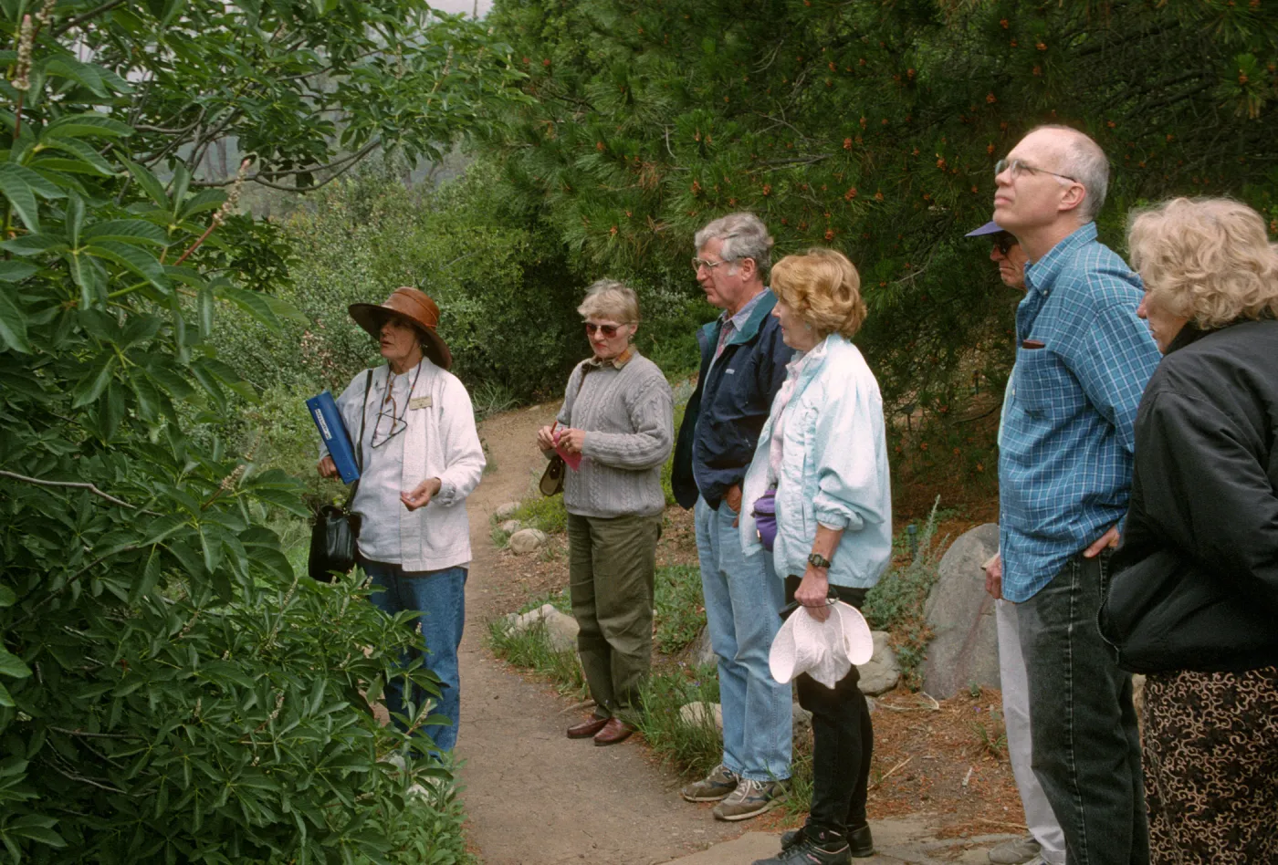 Wildflower Festival 1997