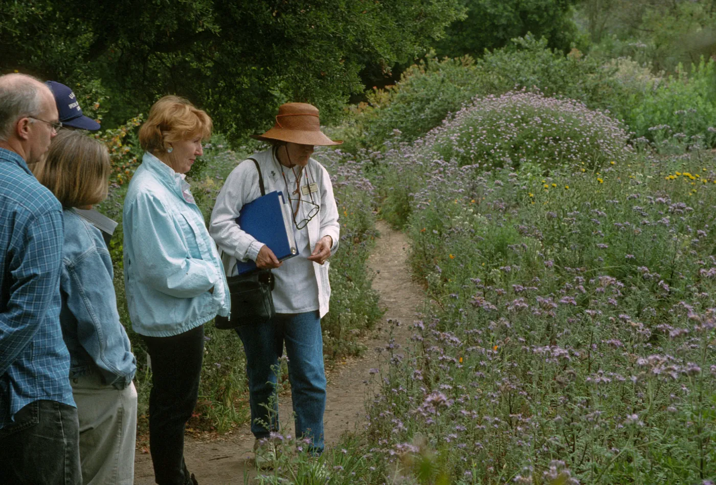 Wildflower Festival 1997