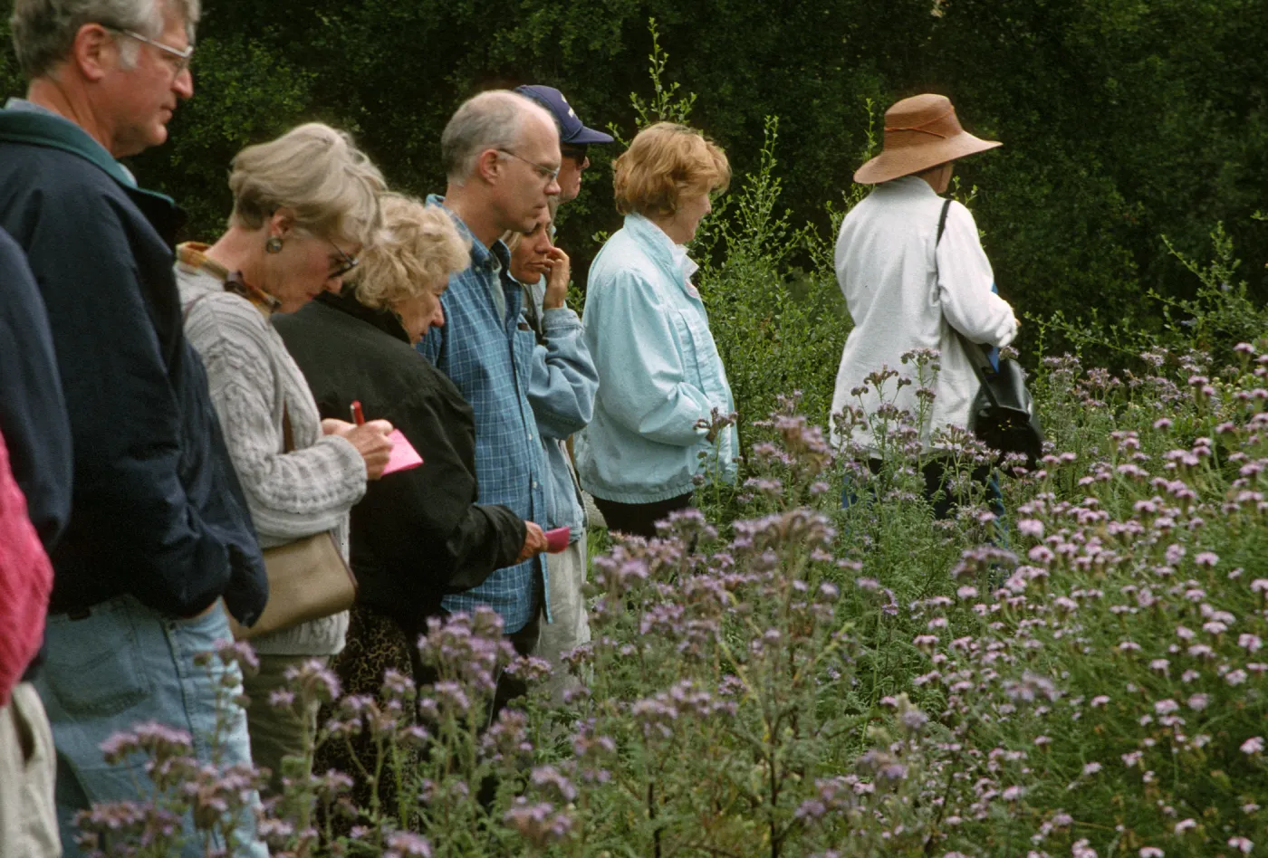 Wildflower Festival 1997