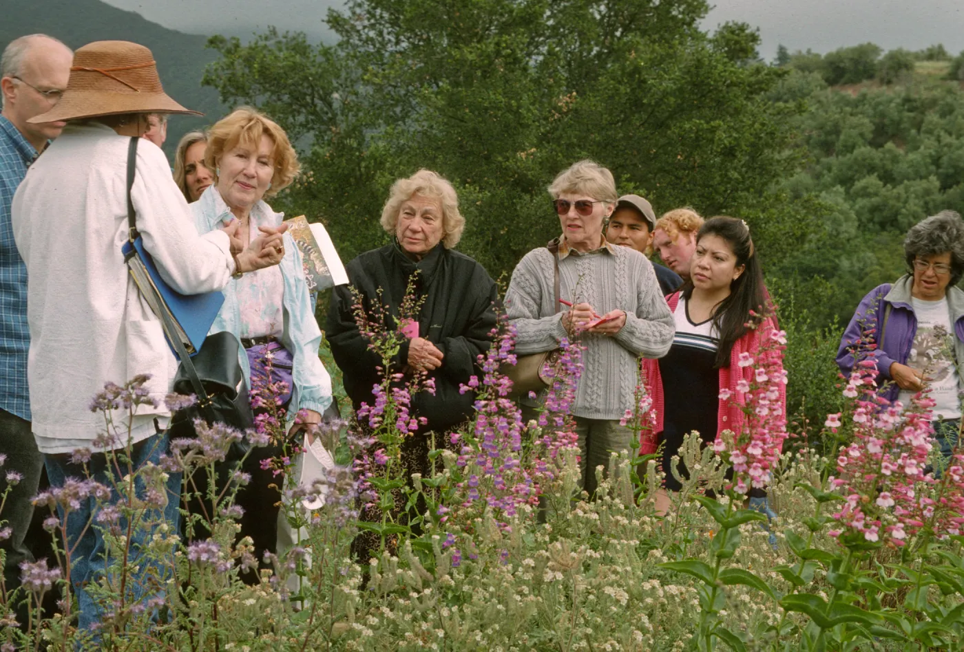 Wildflower Festival 1997