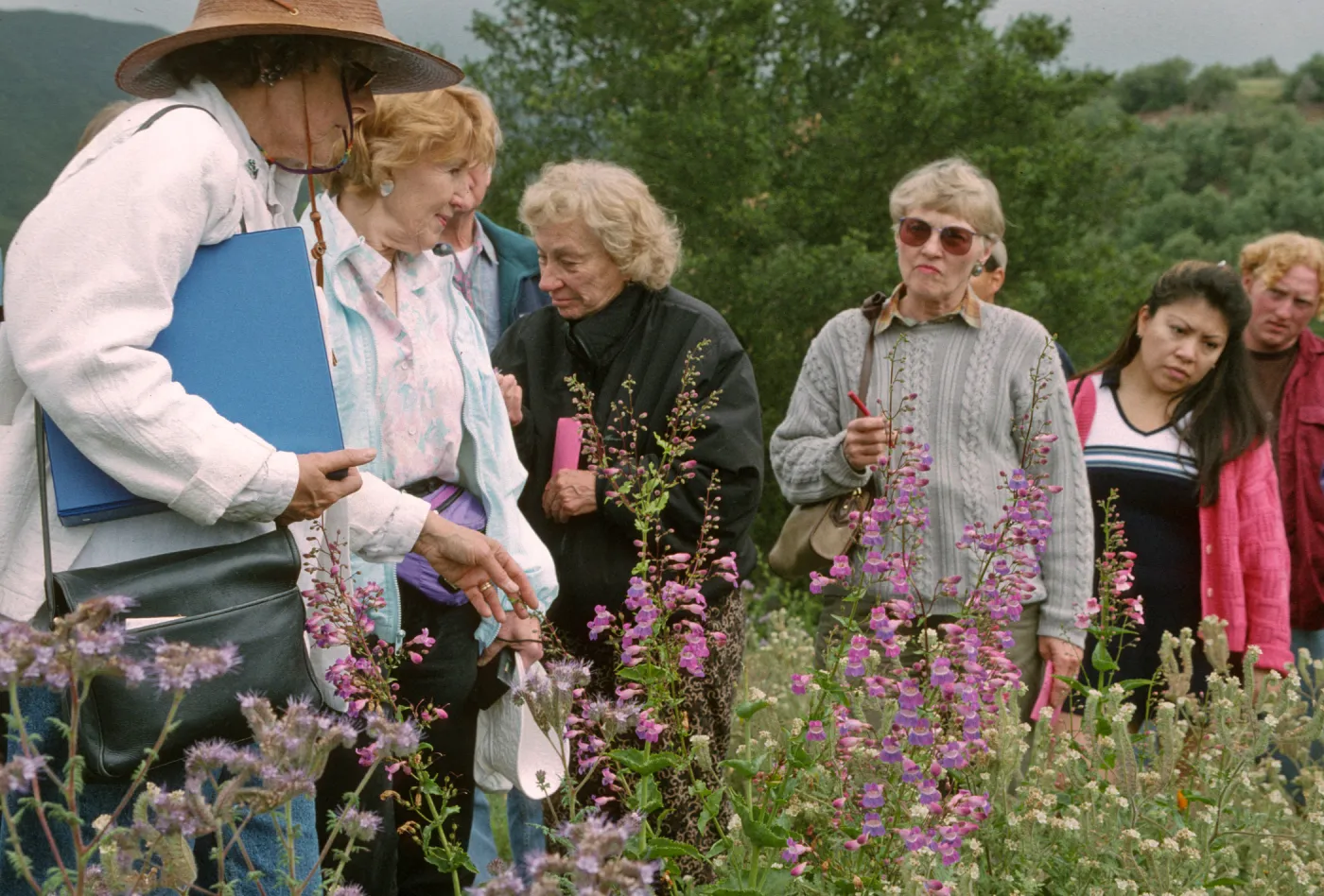 Wildflower Festival 1997