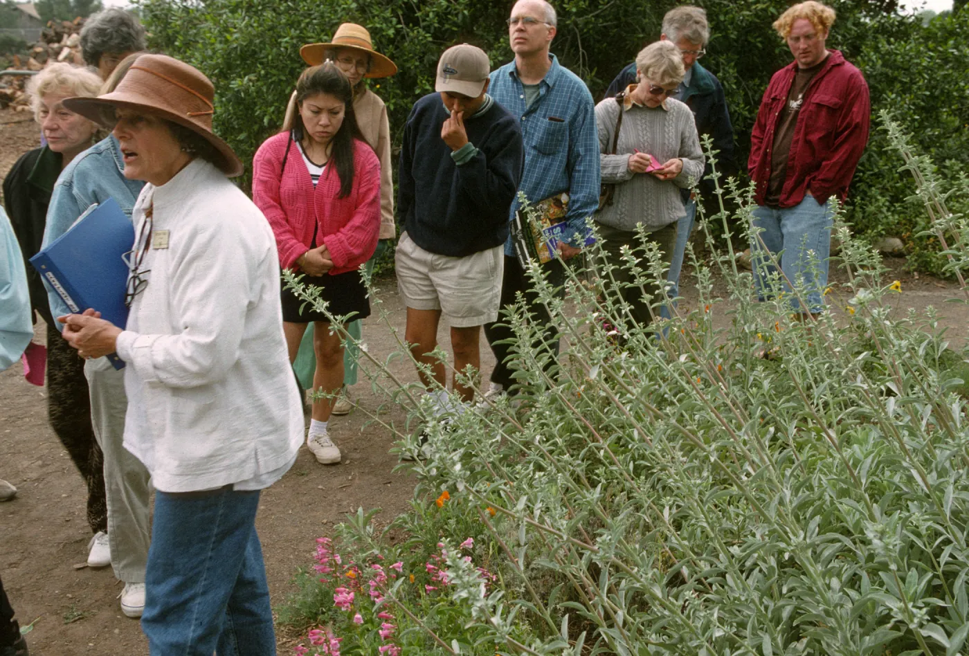 Wildflower Festival 1997
