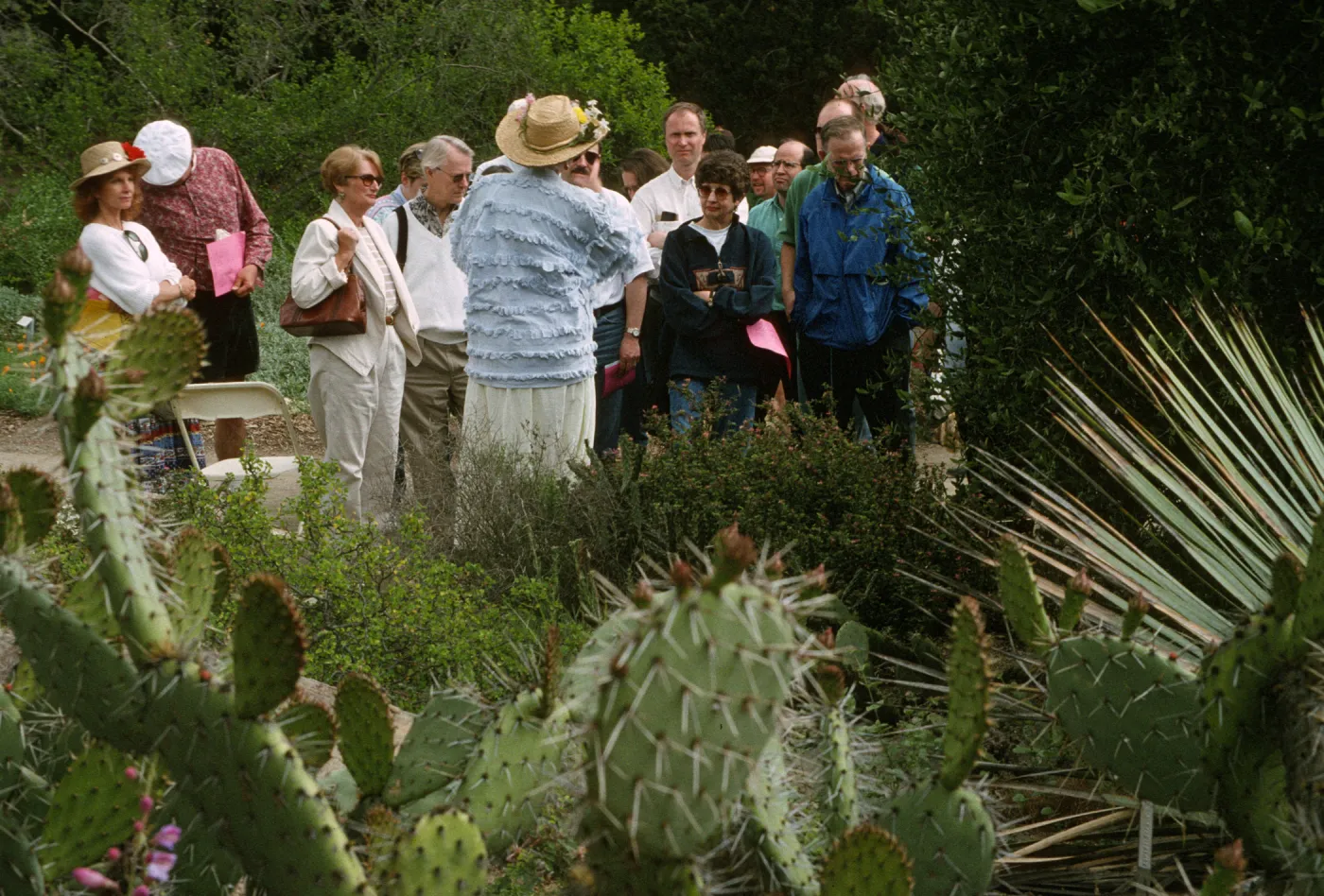 Wildflower Festival 1997