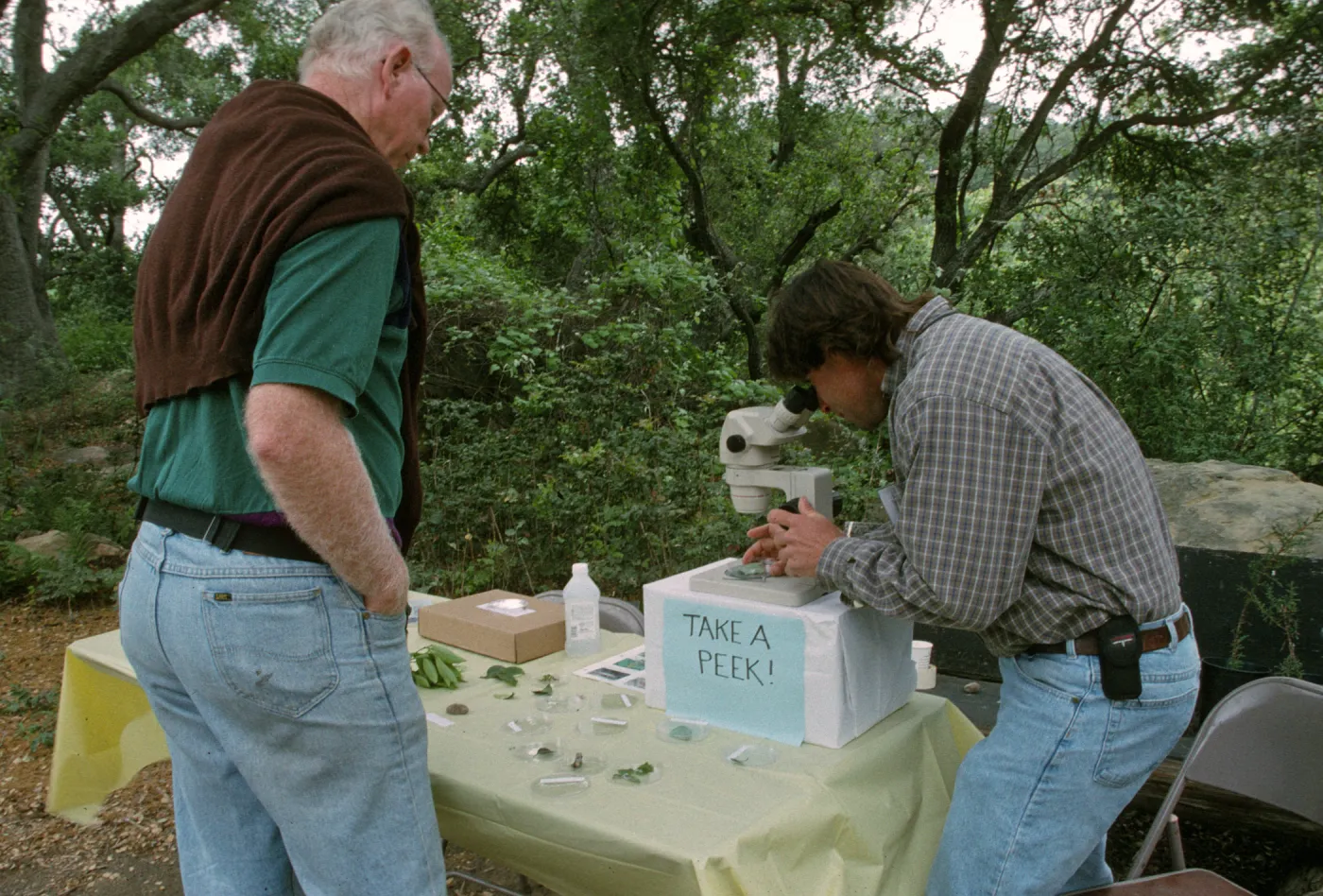 Wildflower Festival 1997