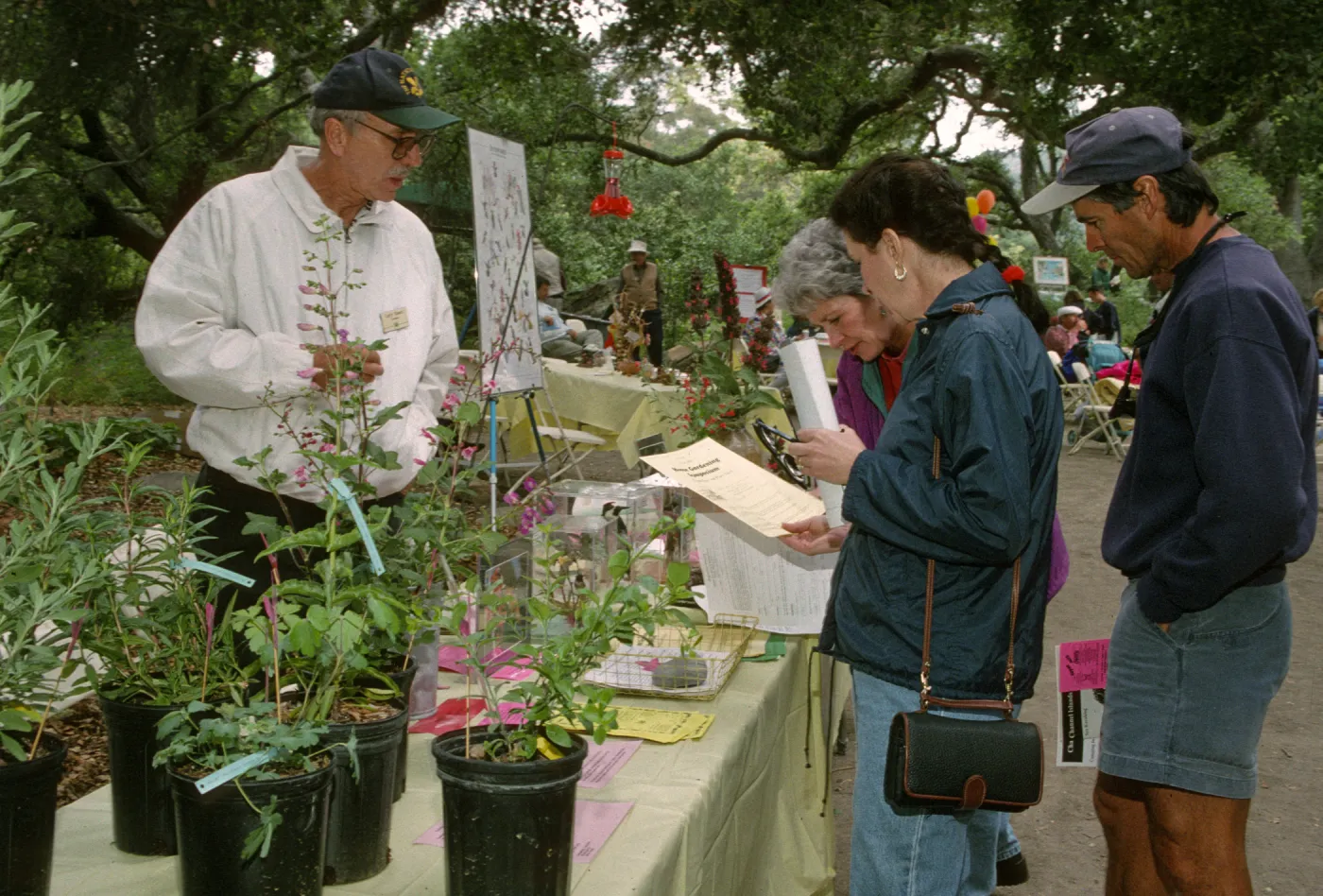 Wildflower Festival 1997