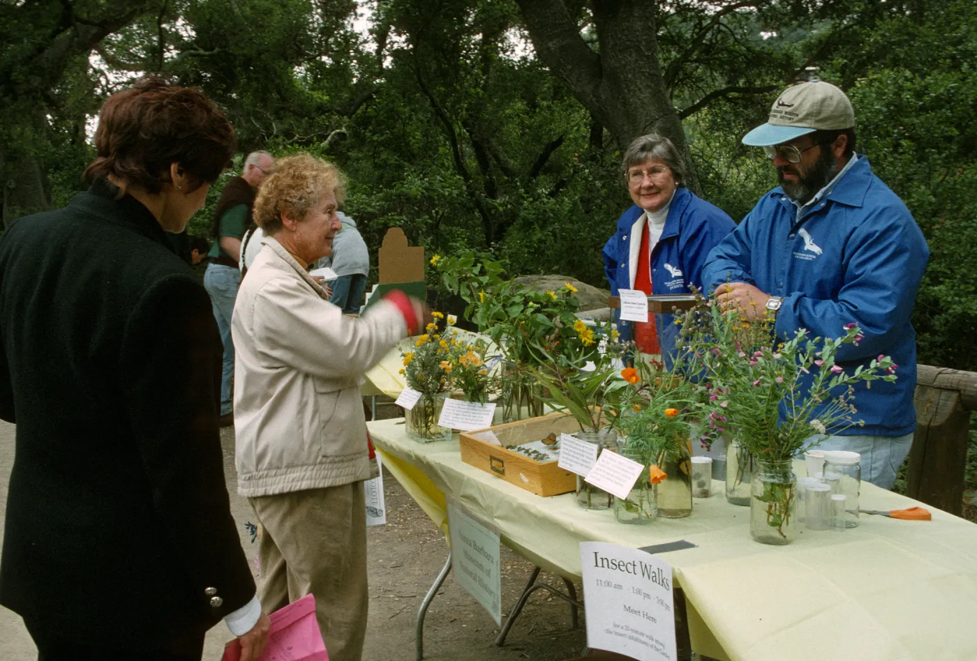 Wildflower Festival 1997