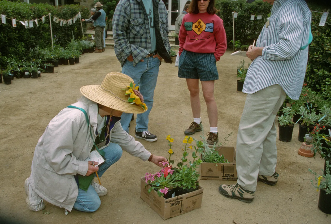 Wildflower Festival 1997