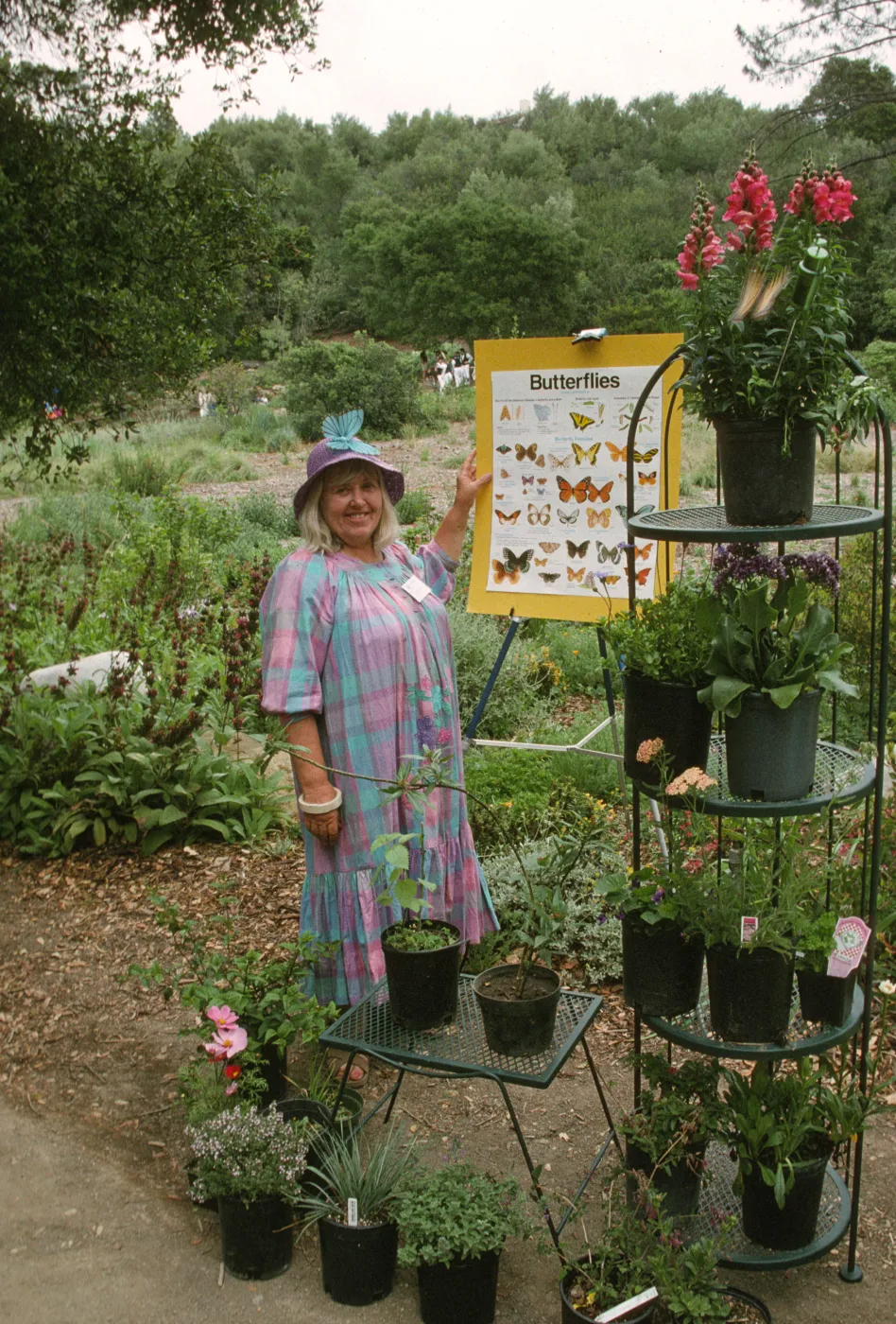 Wildflower Festival 1997