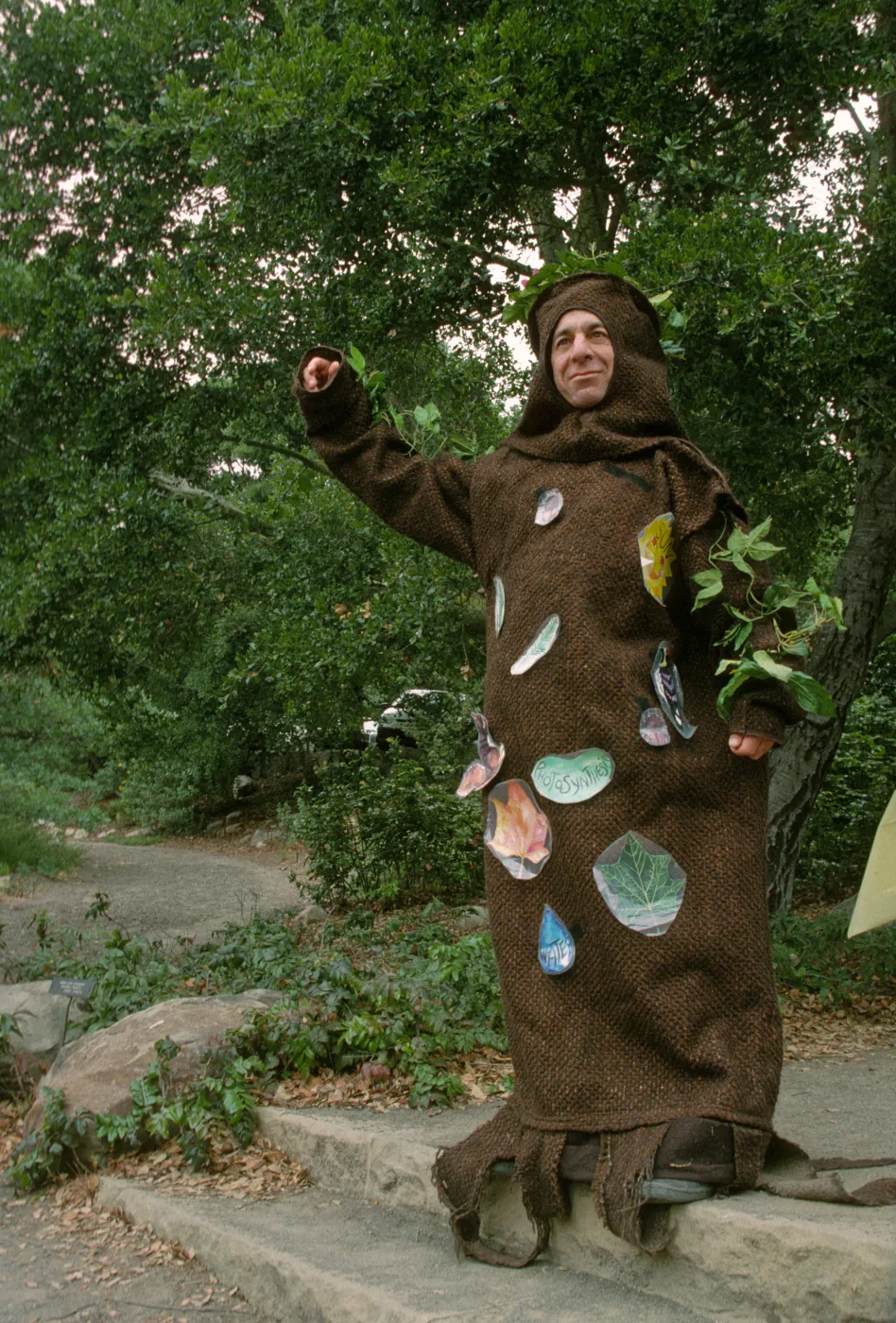 Wildflower Festival 1997