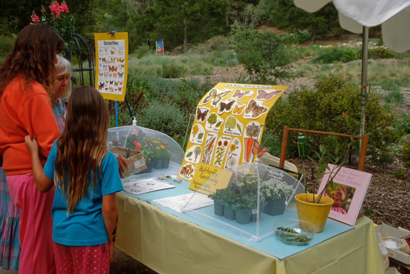 Wildflower Festival 1997