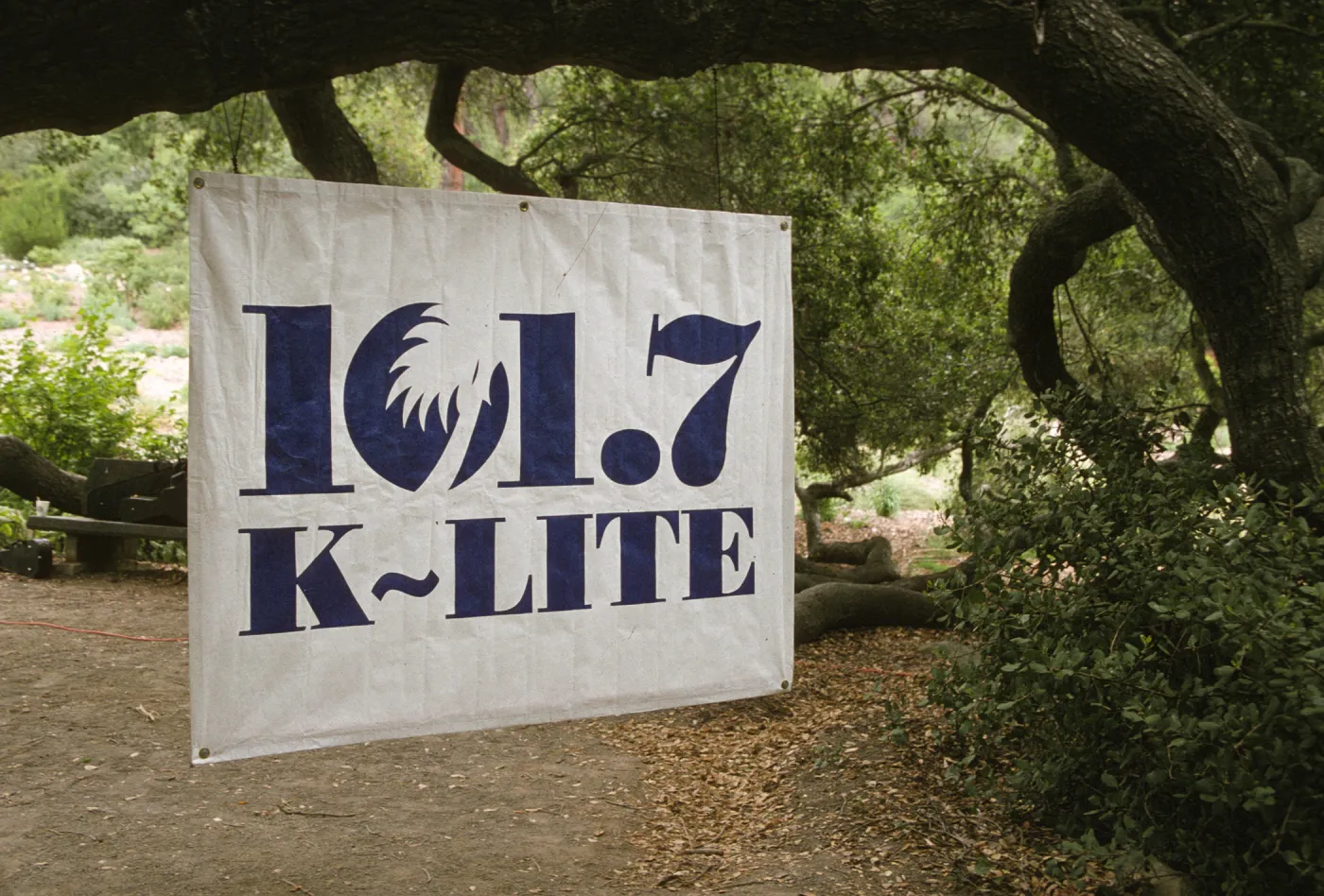 Wildflower Festival 1997