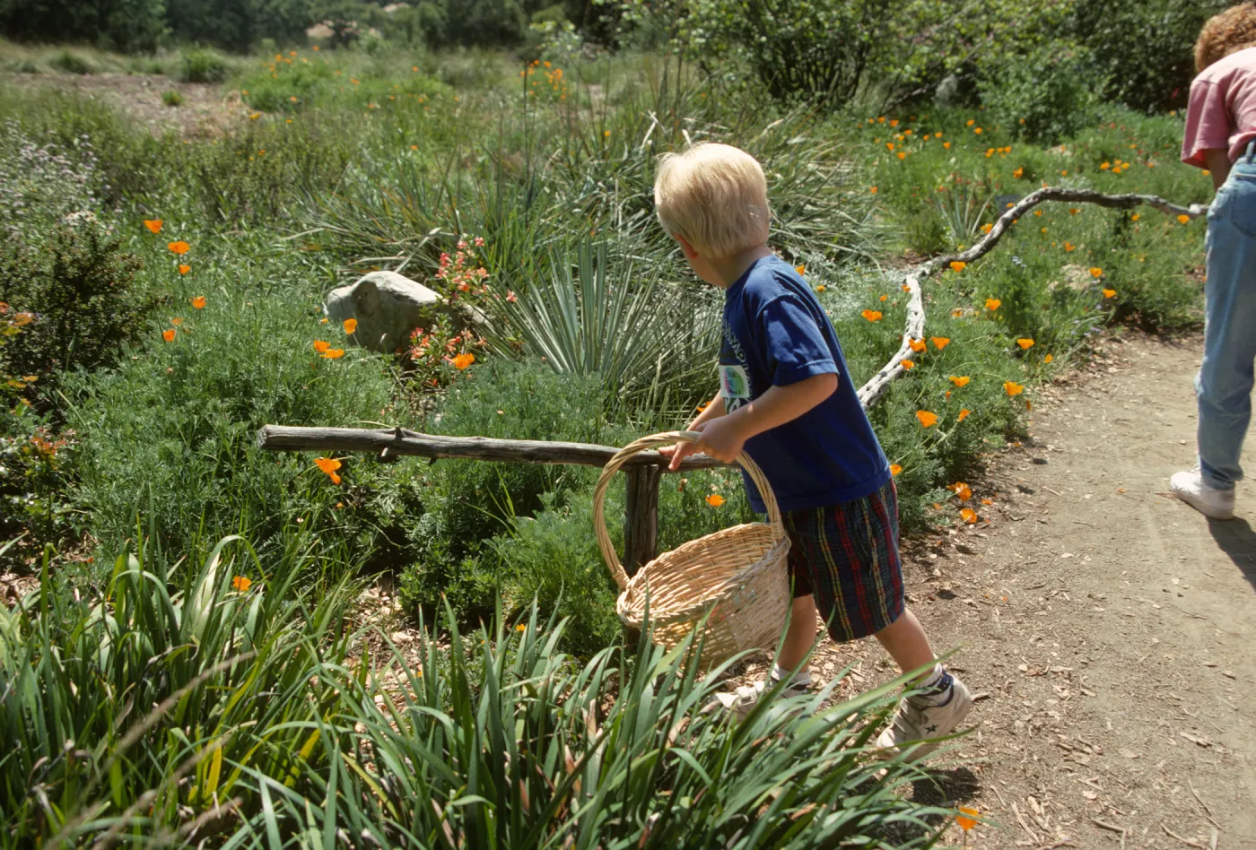 Wildflower Festival 1997