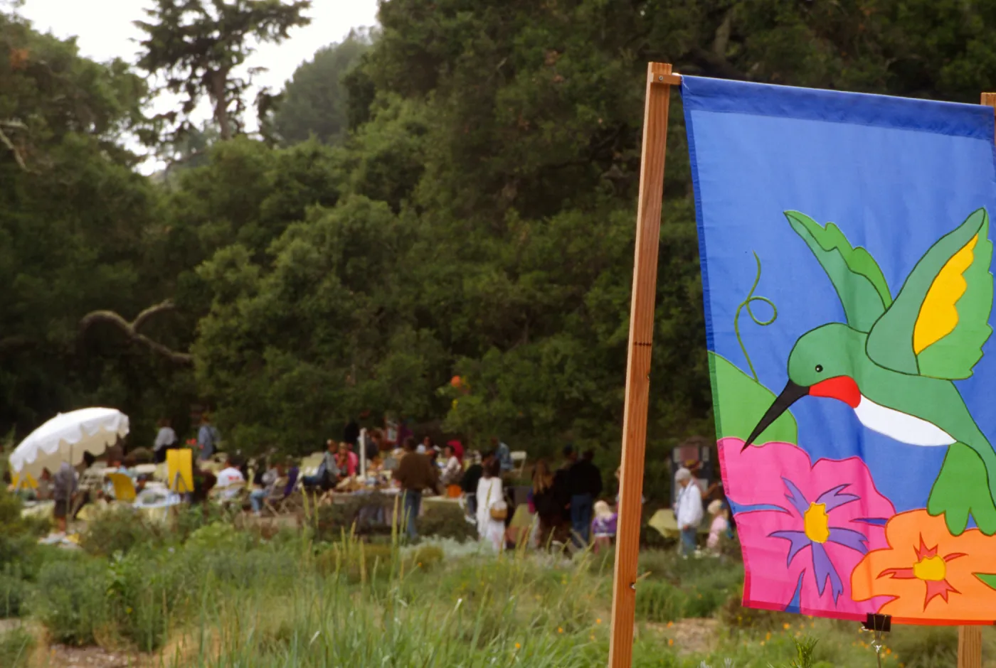 Wildflower Festival 1997