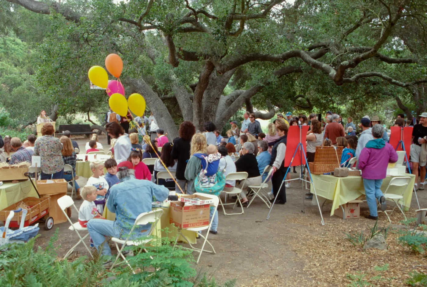 Wildflower Festival 1997