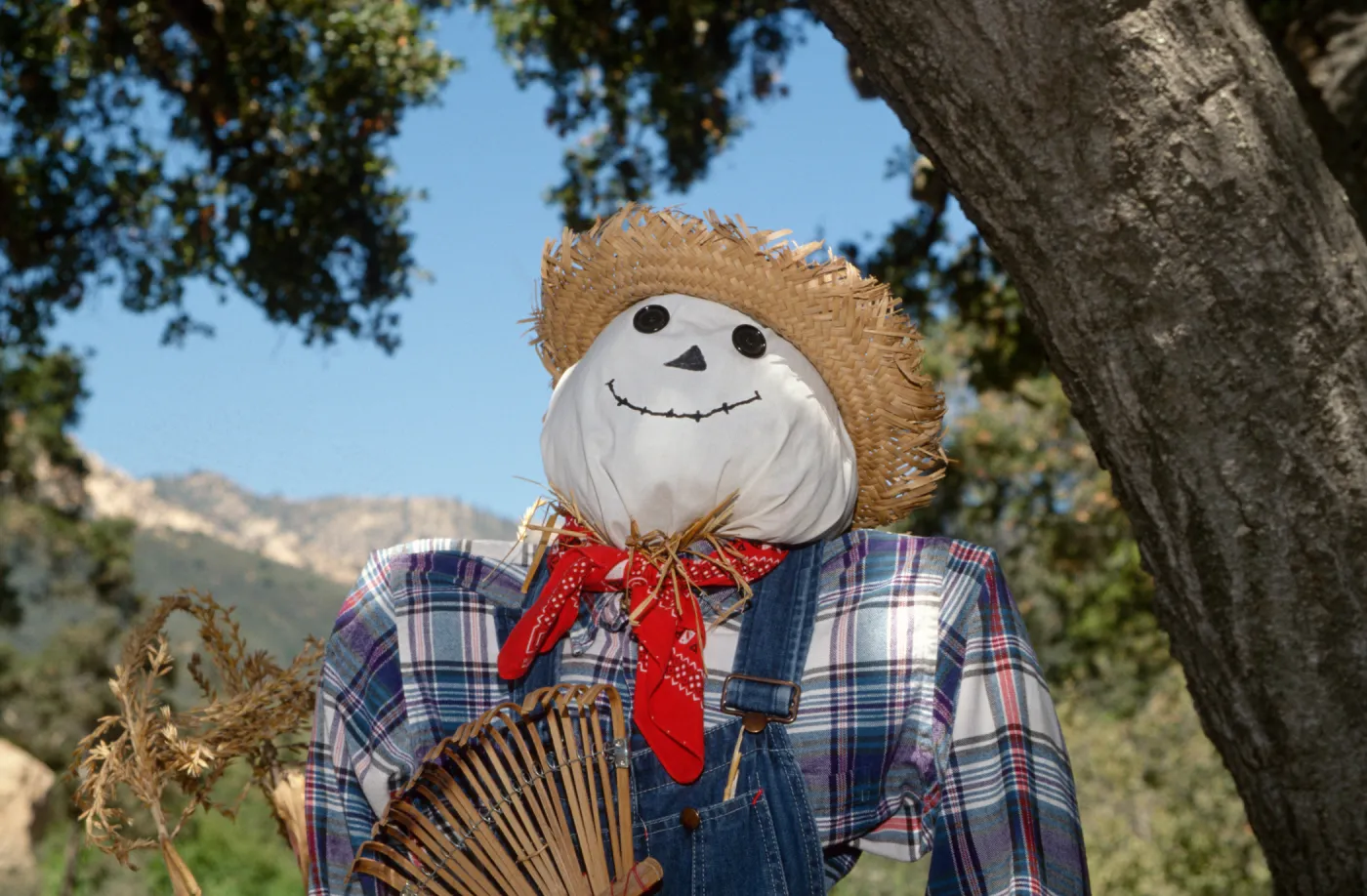 Scarecrow Contest 1997. Crafts day
