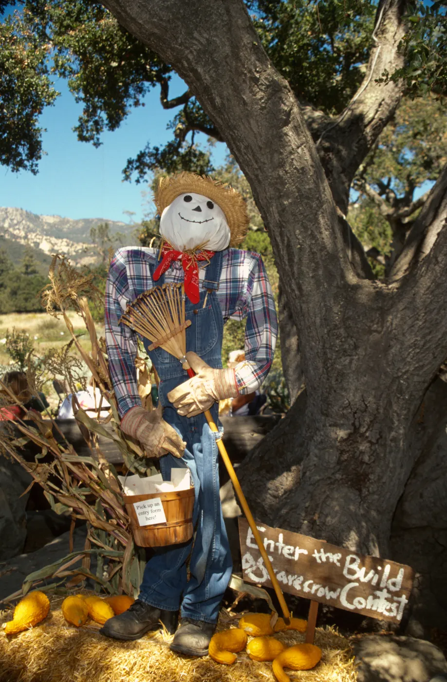 Scarecrow Contest 1997. Crafts day