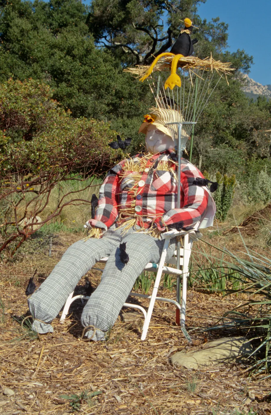 Scarecrow Contest 1998