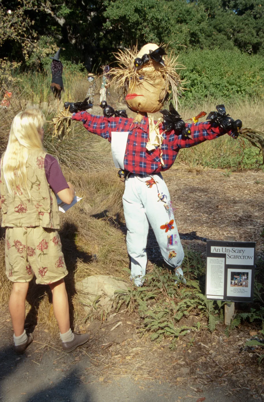 Scarecrow Contest 1998