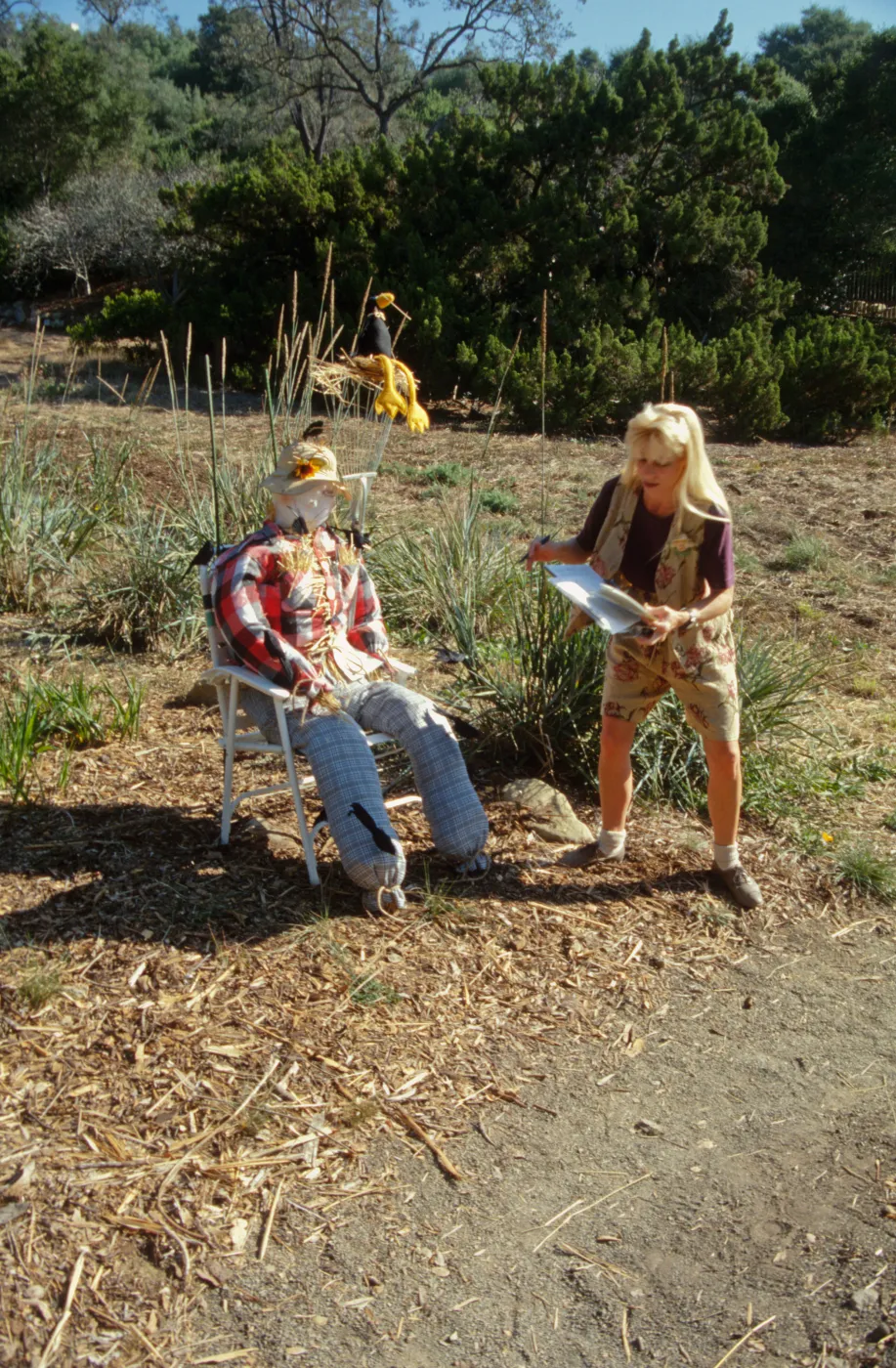 Scarecrow Contest 1998