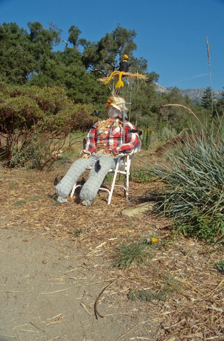 Scarecrow Contest 1998