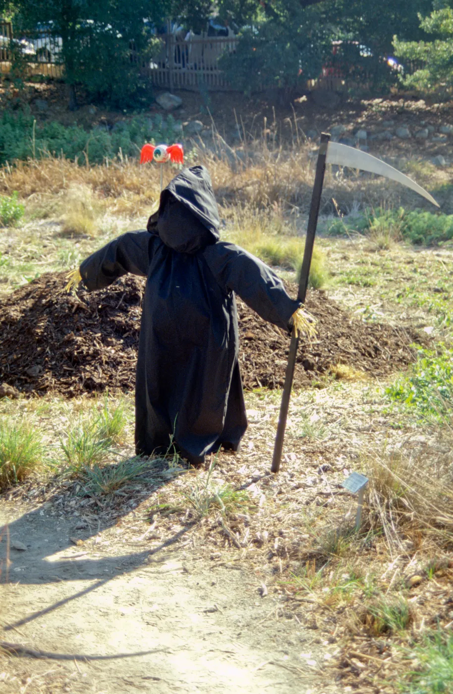 Scarecrow Contest 1998