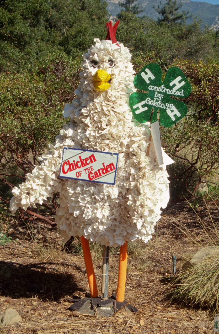 Scarecrow Contest 1998