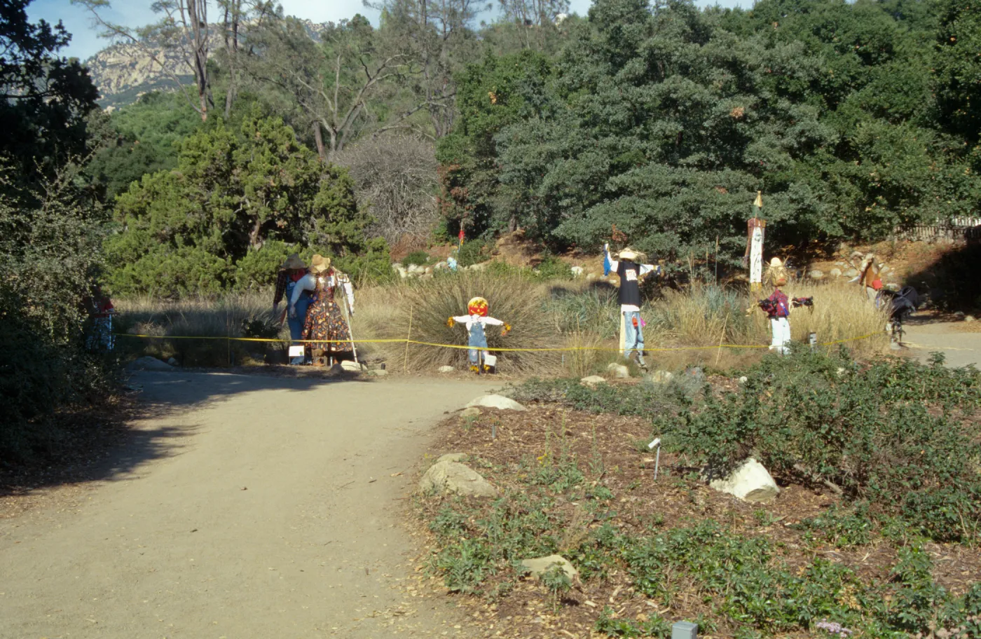Scarecrow Contest 1998
