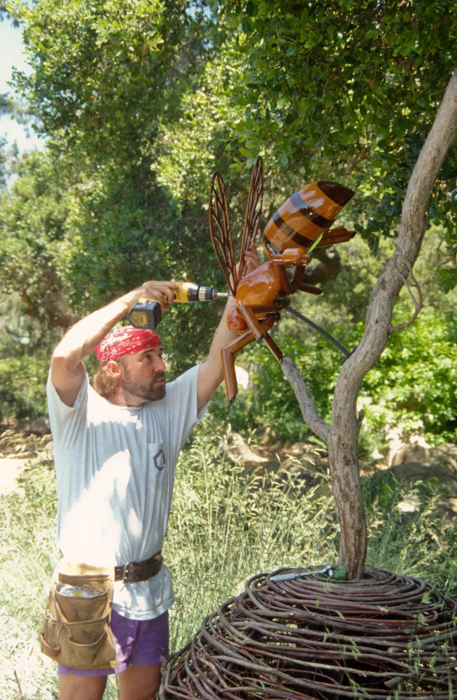 Big Bugs, Honey Bee setup