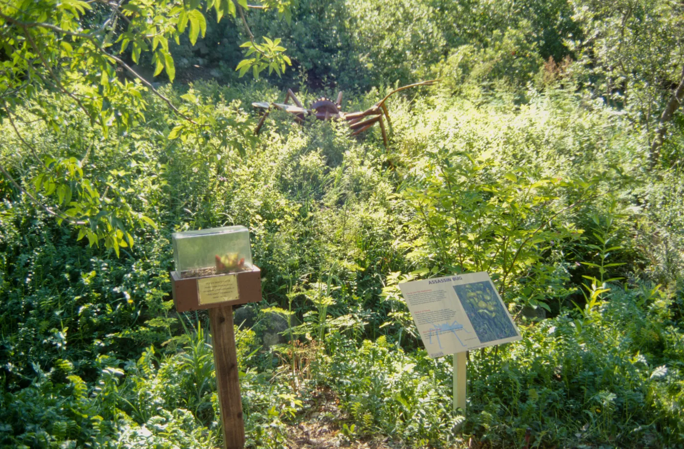 Big Bugs, Assasin Bug and interpretive exhibit