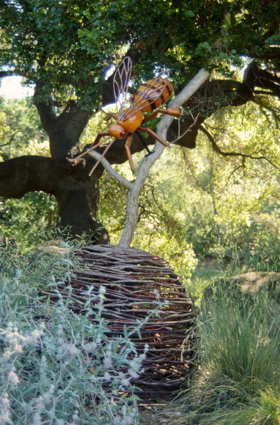 Big Bugs, giant honey bee in the Manzanita Section
